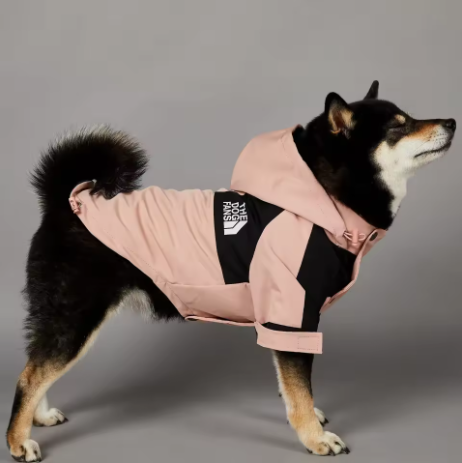 The Ultimate Dog Windbreaker