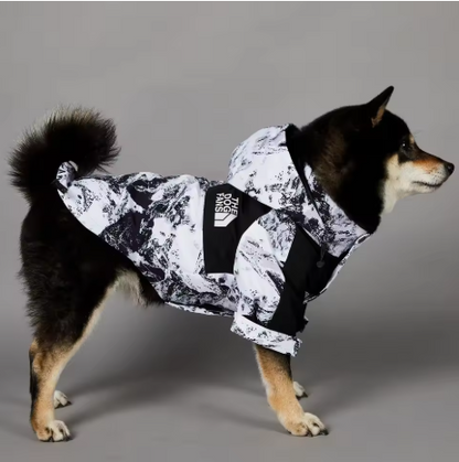 The Ultimate Dog Windbreaker