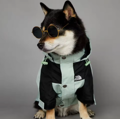 The Ultimate Dog Windbreaker