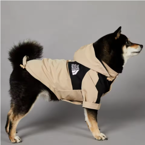 The Ultimate Dog Windbreaker