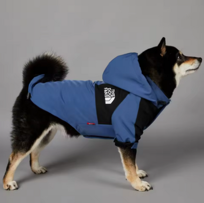 The Ultimate Dog Windbreaker