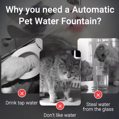 Smart Cat Water Fountain